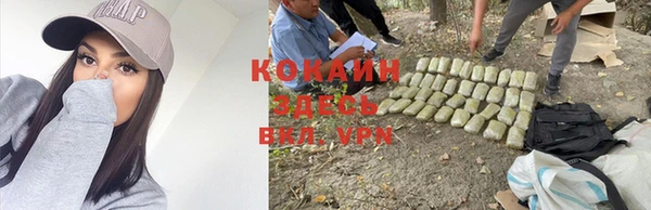 альфа пвп Тавда