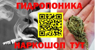 Альфа ПВП Волжск