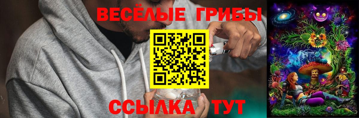 Галлюциногенные грибы MAGIC MUSHROOMS  Вход с VPN  Галлюциногенные грибы Cubensis  Дзержинск 